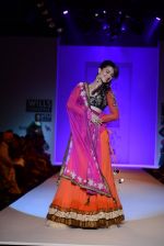 Gauhar Khan walks the ramp for Joy Mitra Show at Wills Lifestyle India Fashion Week 2013 Day 3 in Mumbai on 15th March 2013 (53).JPG